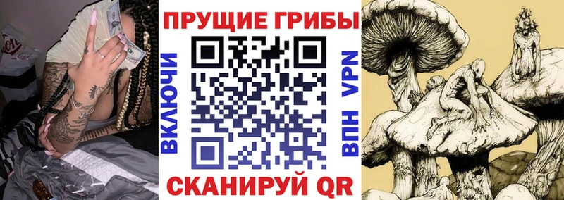 Купить  Талица  Галлюциногенные грибы MAGIC MUSHROOMS 