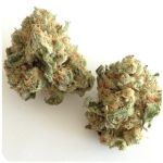 Шишки "White Widow"  (Белая вдова)  Гидропоника -  Бошка VHQ в Талице