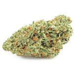Шишки OG Kush  (Гидропоника, бошки) VHQ в Талице